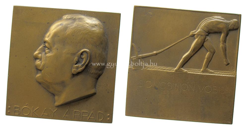 V�g� Dezs�: B�kay �rp�d szabadk�m�ves /1856-1919/